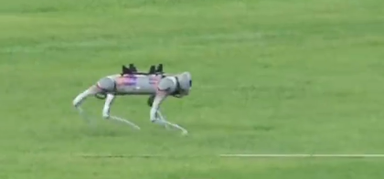 世界首次！杭州亚运会惊现机械狗 在赛场来回搬运铁饼