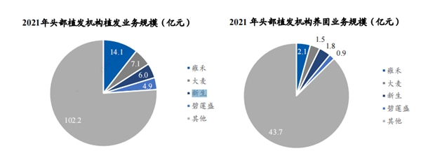 逆势加速扩张，最差的时候已经过去，雍禾股价即将迎来双击