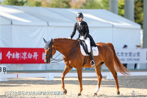 2023北京马术季开赛！今麦郎凉白开助力马术运动蓬勃发展