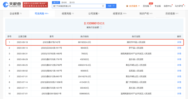 雷丁汽车再度被强制执行8619万 已累计强制执行超2亿