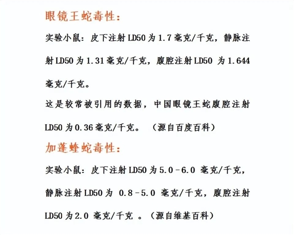 加蓬蝰蛇、眼镜王蛇谁更毒？国外博主居然用自己的血验证