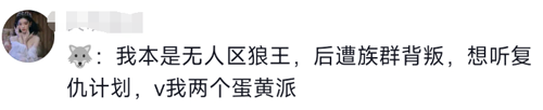 可可西里网红野狼被投喂成了胖狗！但我劝你别再喂了