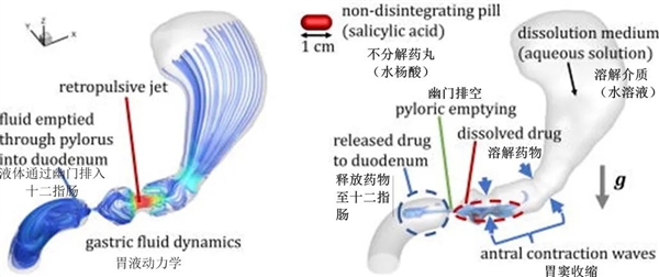 信我！右侧卧着吃止疼片效果最好