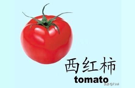 tomato为什么是有生命的名词「番茄用英文怎么读」