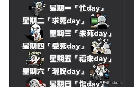 week什么意思图片